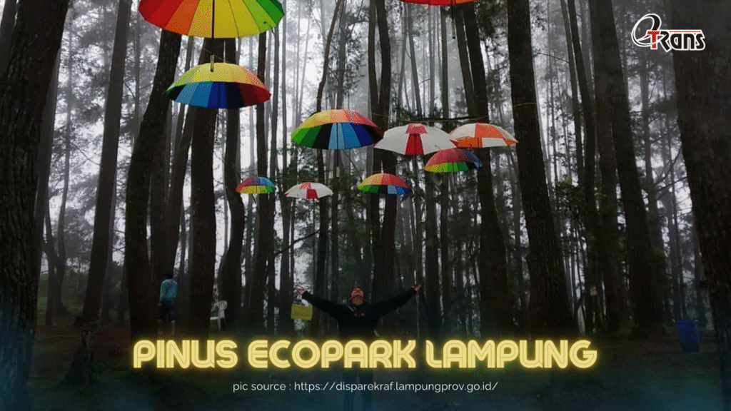 Wisata Pinus Eco Park Lampung
